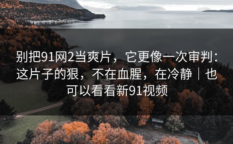 别把91网2当爽片，它更像一次审判：这片子的狠，不在血腥，在冷静｜也可以看看新91视频