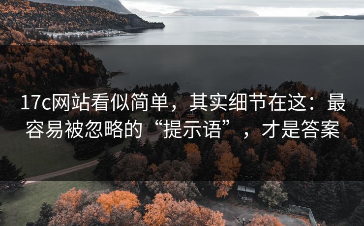 17c网站看似简单，其实细节在这：最容易被忽略的“提示语”，才是答案