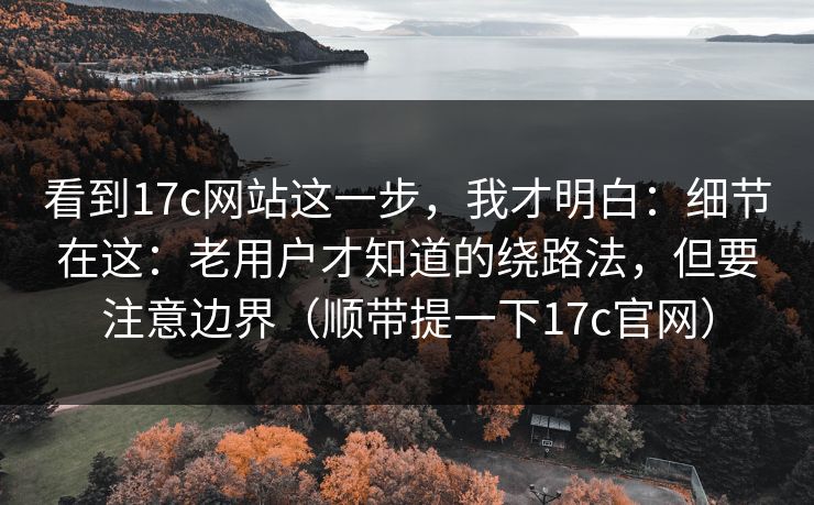 看到17c网站这一步，我才明白：细节在这：老用户才知道的绕路法，但要注意边界（顺带提一下17c官网）