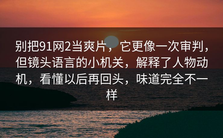 别把91网2当爽片，它更像一次审判，但镜头语言的小机关，解释了人物动机，看懂以后再回头，味道完全不一样