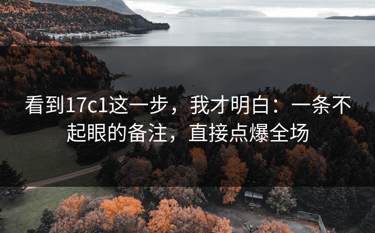 看到17c1这一步，我才明白：一条不起眼的备注，直接点爆全场