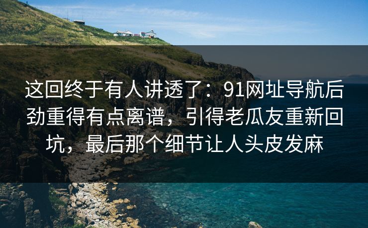 这回终于有人讲透了：91网址导航后劲重得有点离谱，引得老瓜友重新回坑，最后那个细节让人头皮发麻