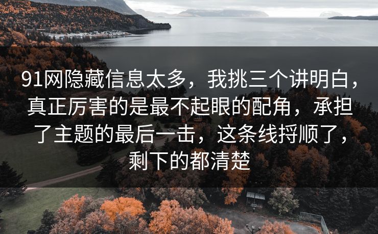 91网隐藏信息太多，我挑三个讲明白，真正厉害的是最不起眼的配角，承担了主题的最后一击，这条线捋顺了，剩下的都清楚
